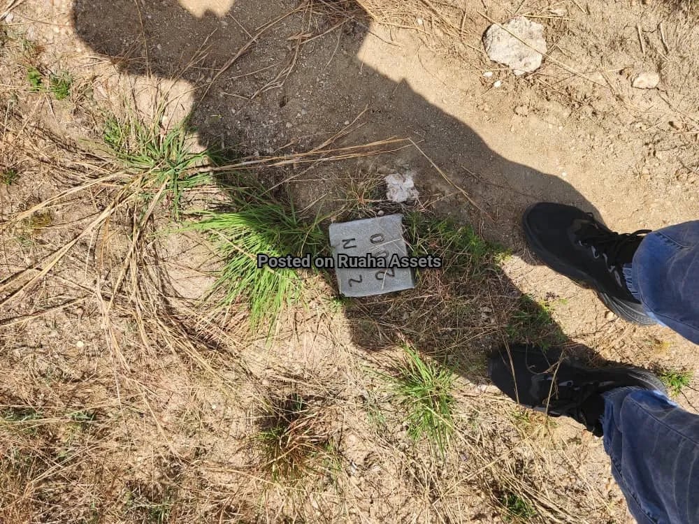 Viwanja Vilivyopimwa Vinauzwa Kiluvya image 2