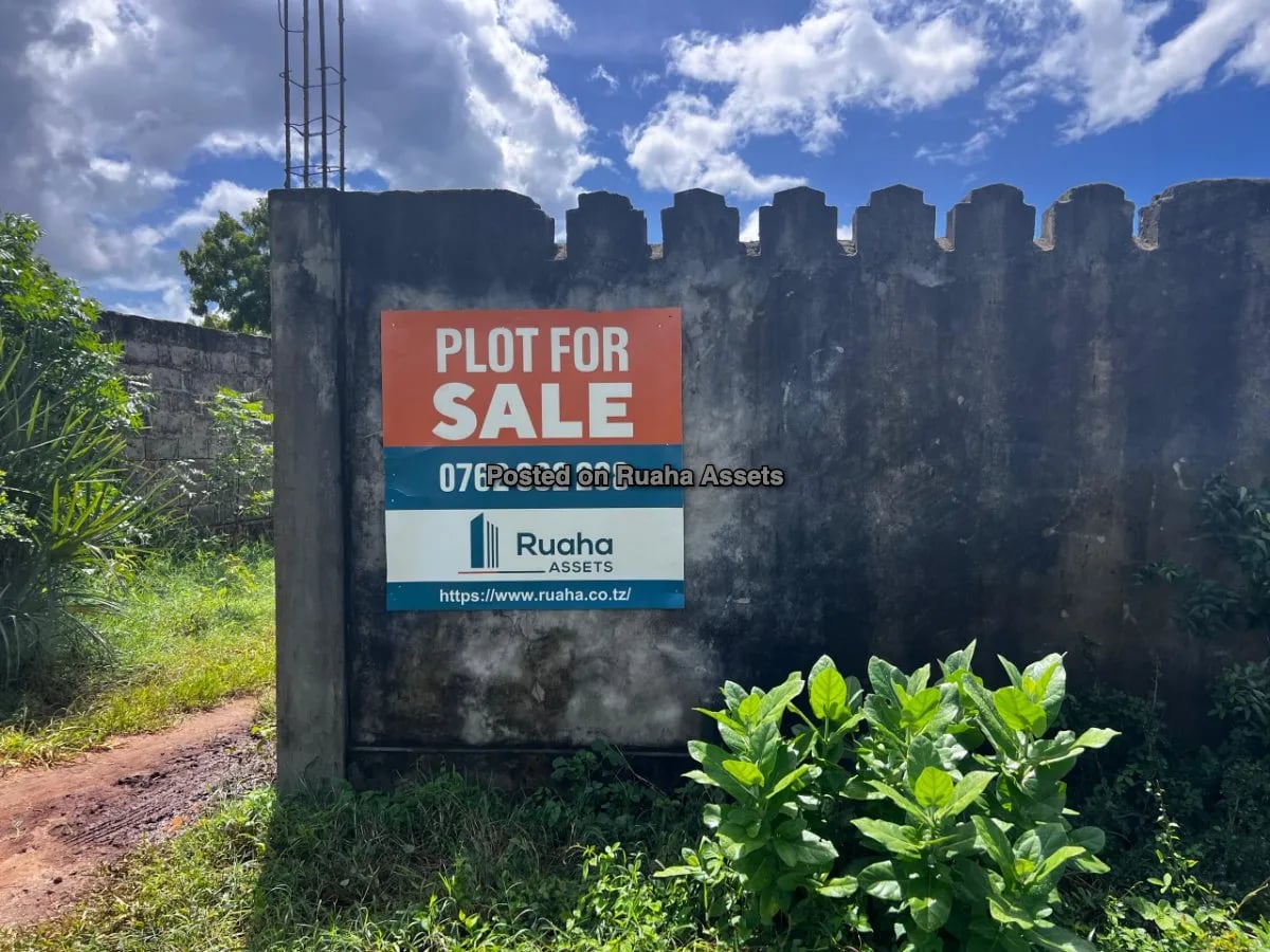 Prime Beachfront Commercial  Plot for Sale - Mjimwema Gezaulole, Kigamboni, Dar es Salaam image 4