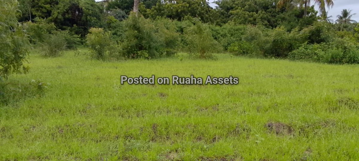 Beach view plot at Mbutu kigamboni  image 2