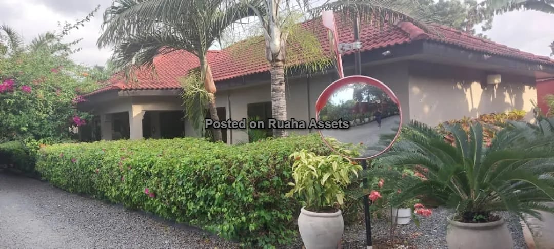 Furnished Villa for Lease at Oysterbay image 9