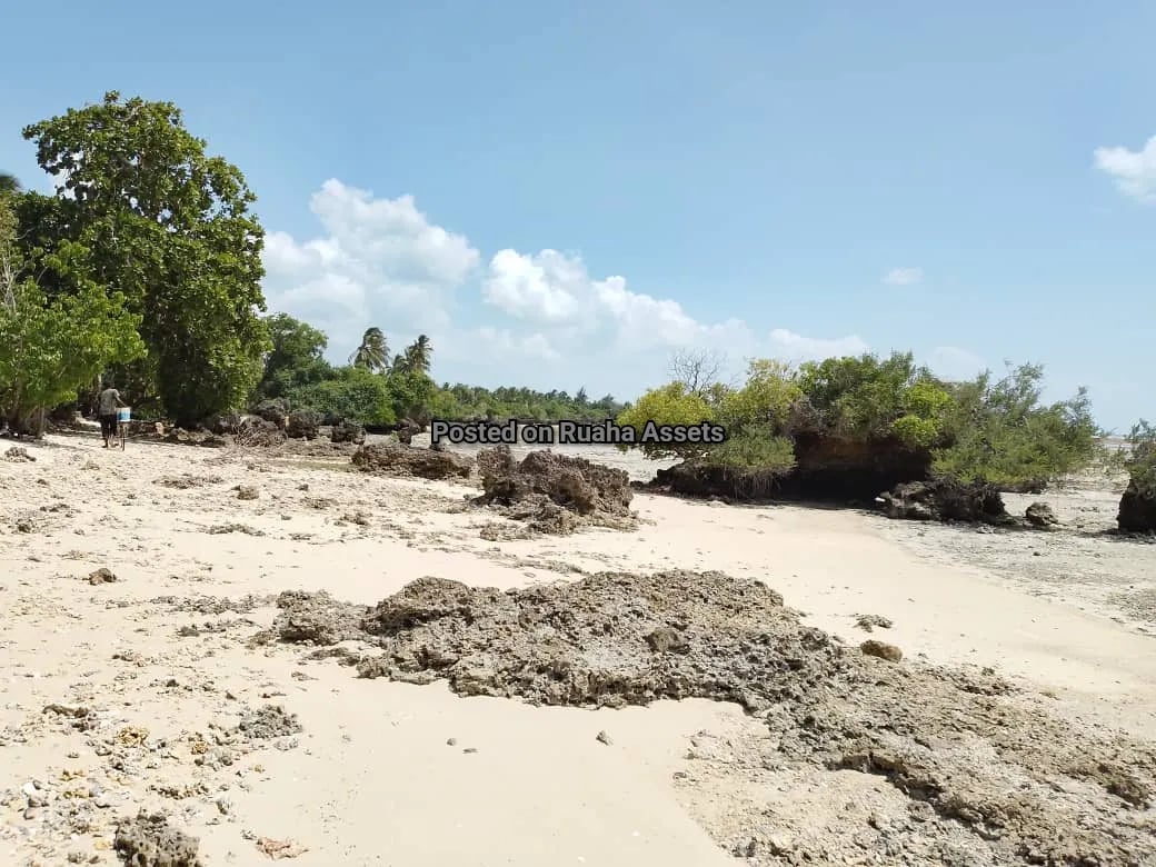 Beachfront plot for Sell in Zanzibar image 3
