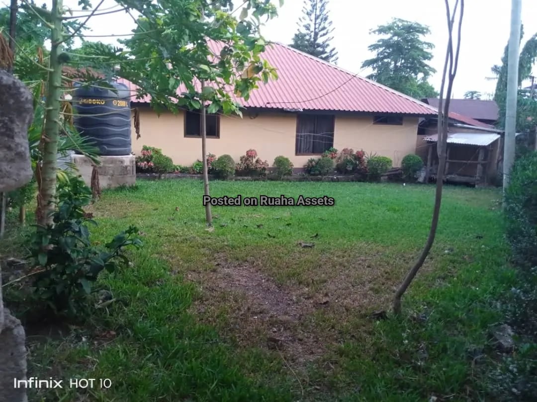 Property looking for Investor at Oysterbay  image 2