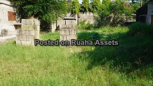 Art Gallery For Sale image 7