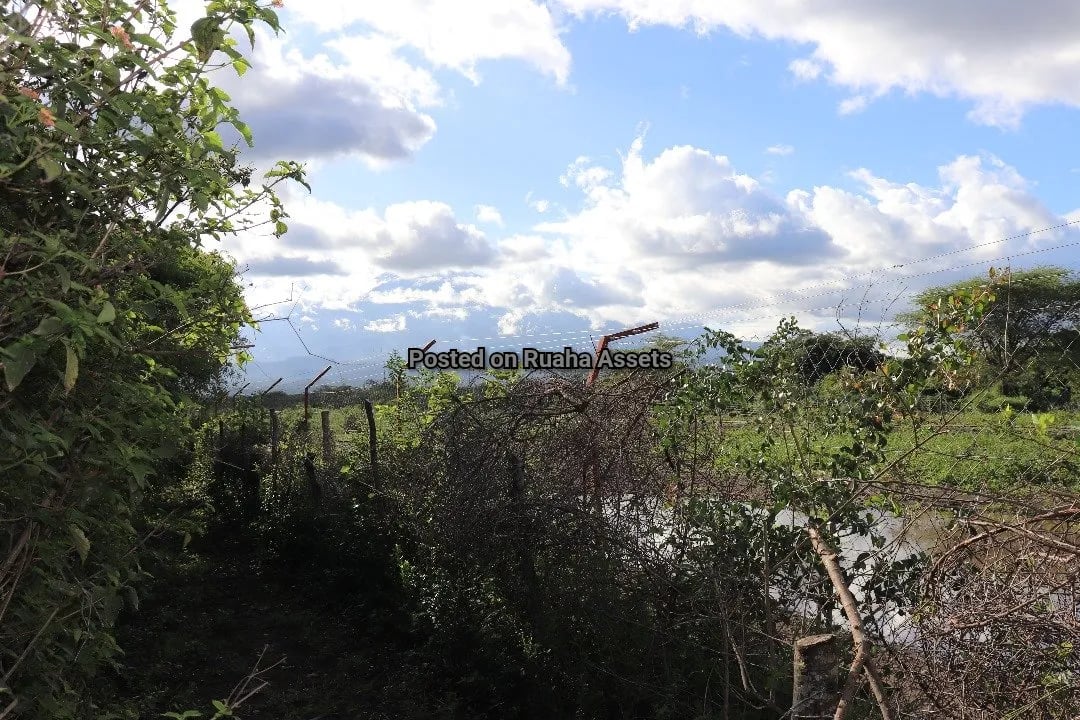15 acres Plot for Sale at Kili Golf Arusha image 2