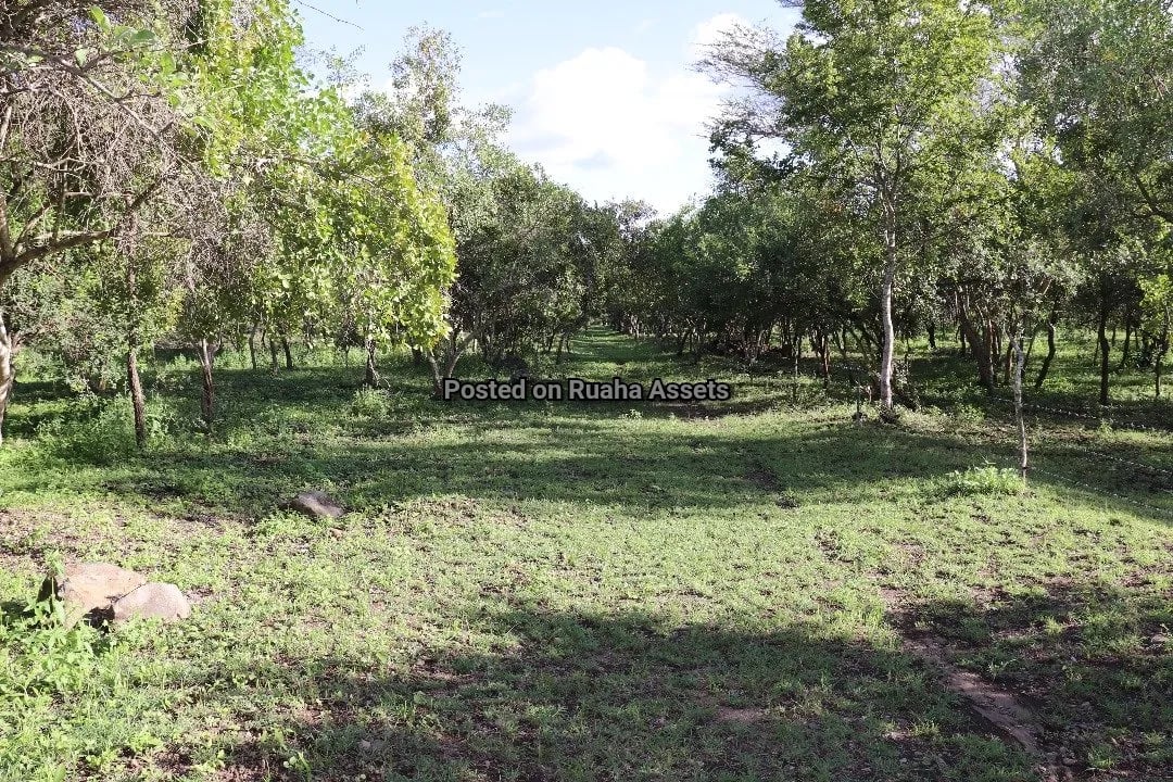 15 acres Plot for Sale at Kili Golf Arusha image 1