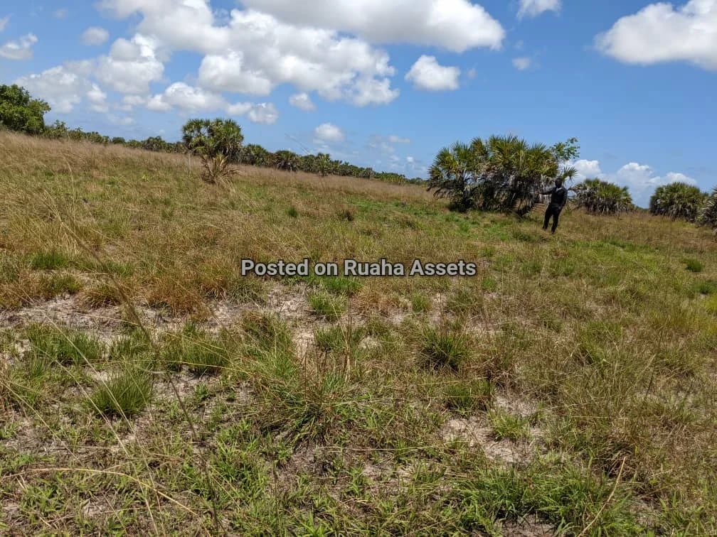 Surveyed Plot for Sale at Kimbiji Kigamboni image 3