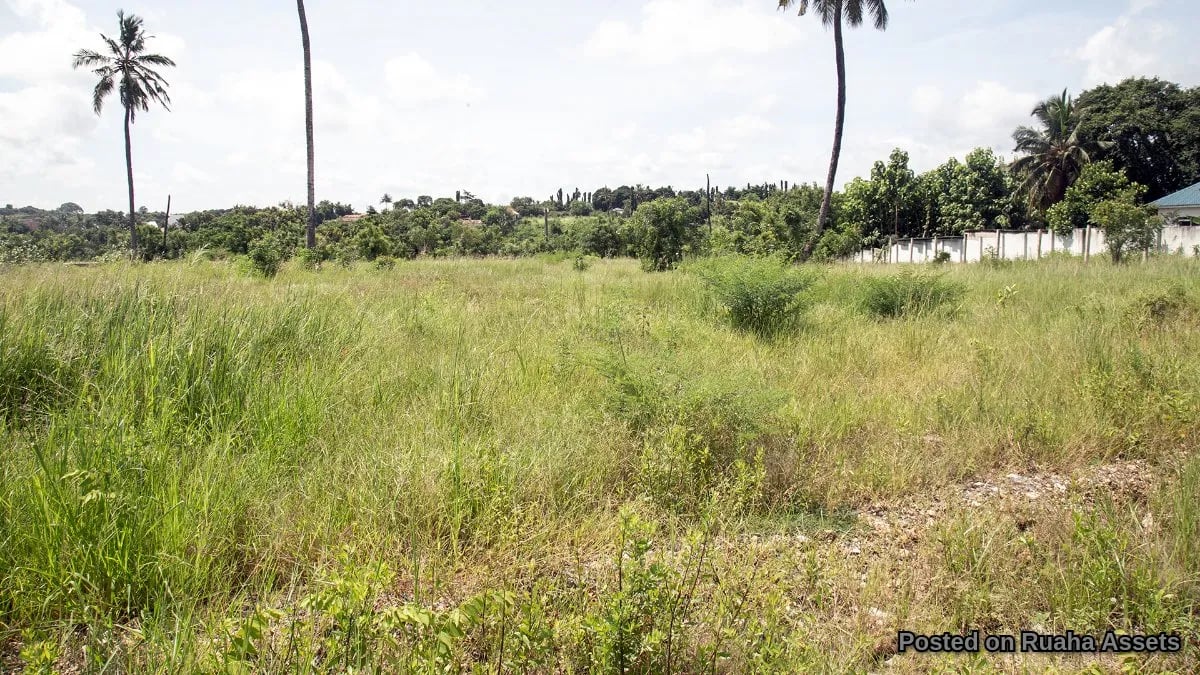 Prime Plot near HKMU, ideal for Apartments, Hotel, B&B image 6