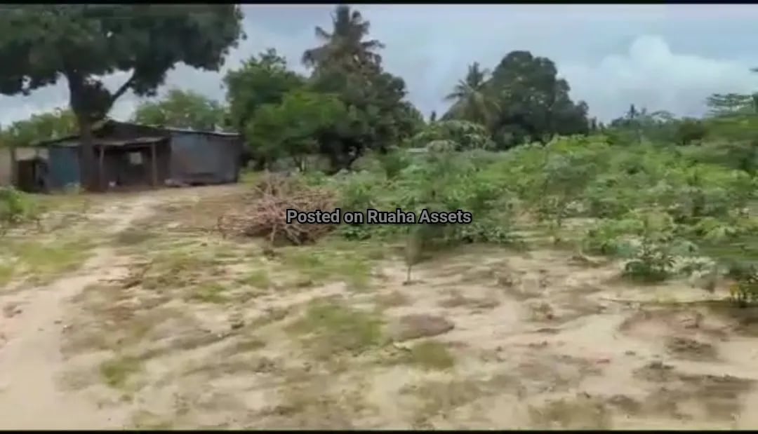 Commercial Plot for Sale Tabata Segerea image 3