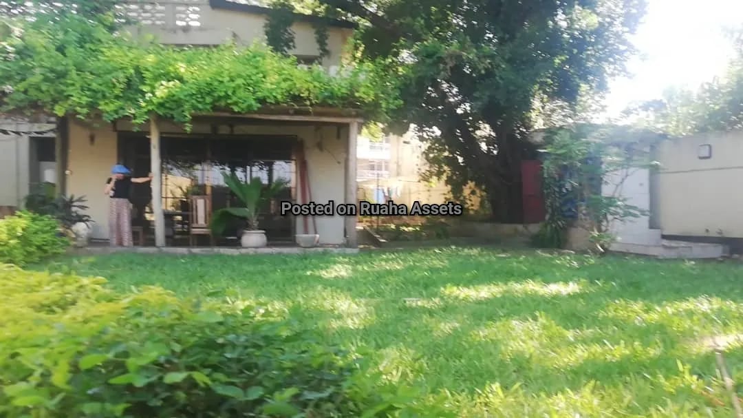 Beach house for rent at Msasani image 2