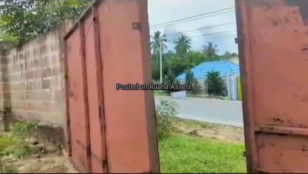 Commercial Plot for Sale Tabata Segerea image 4