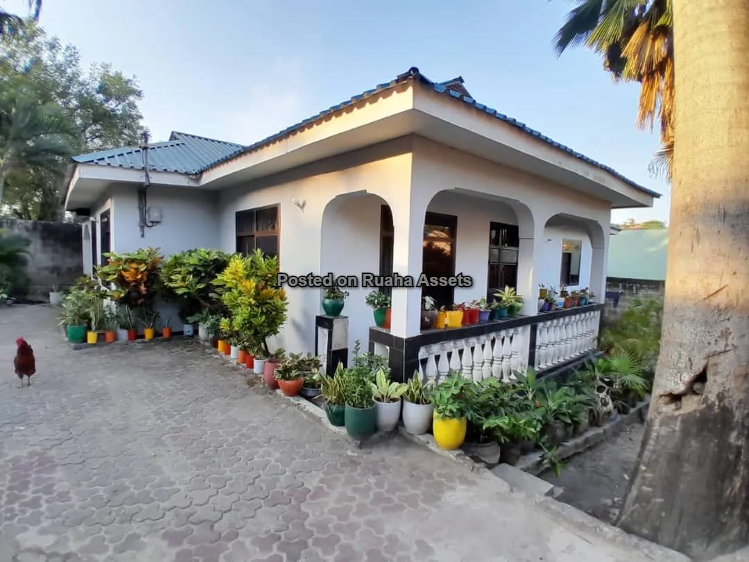 A Stunning House for Sale image 13