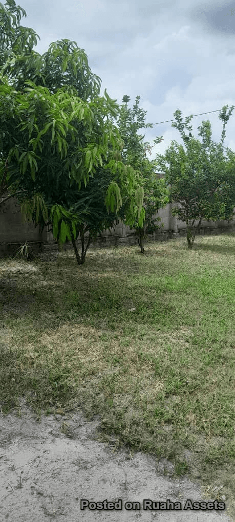 Chanika Estate for Sale image 20