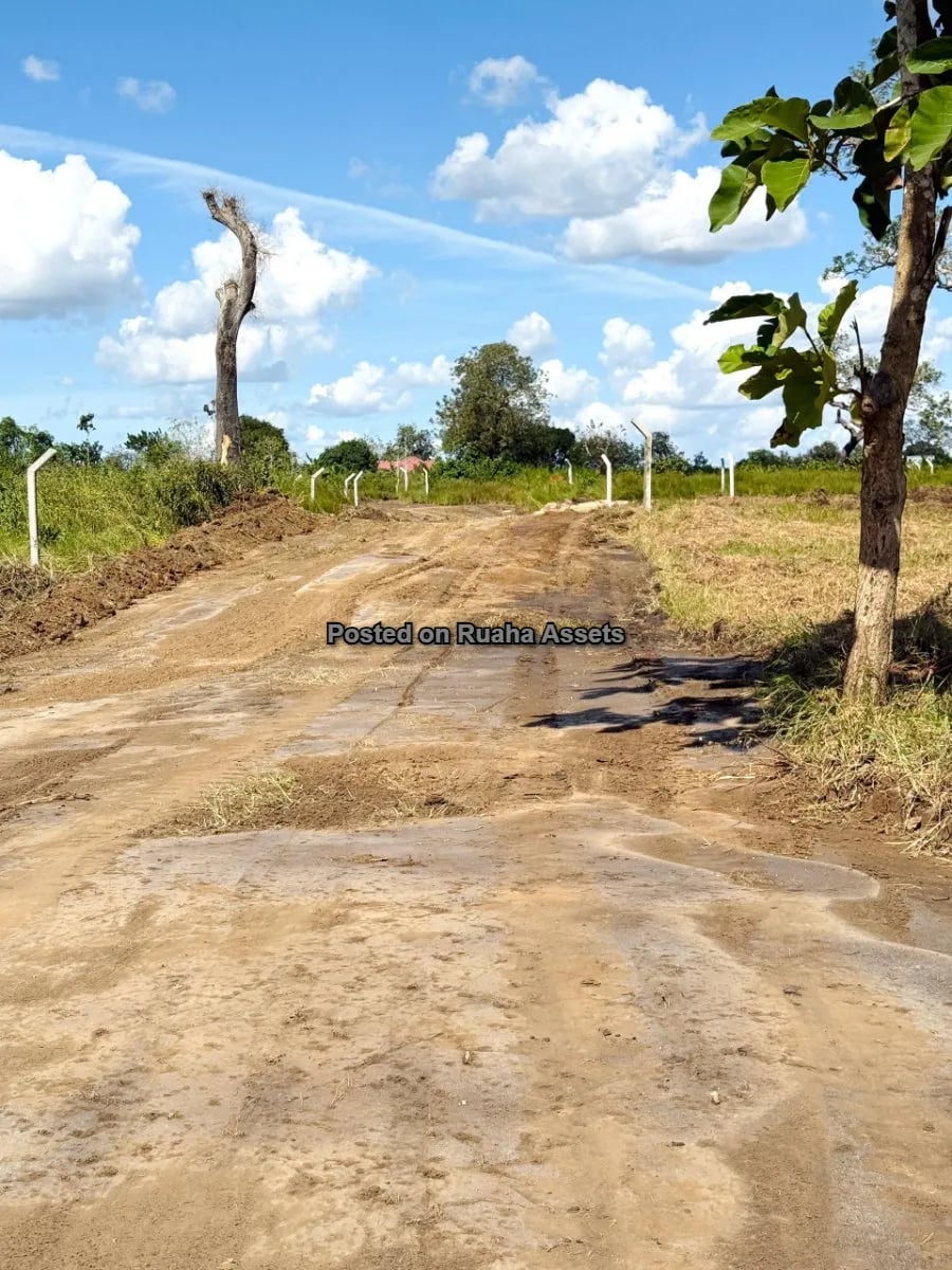 Surveyed Plots For Sale at Kerege Matumbi Bagamoyo image 2