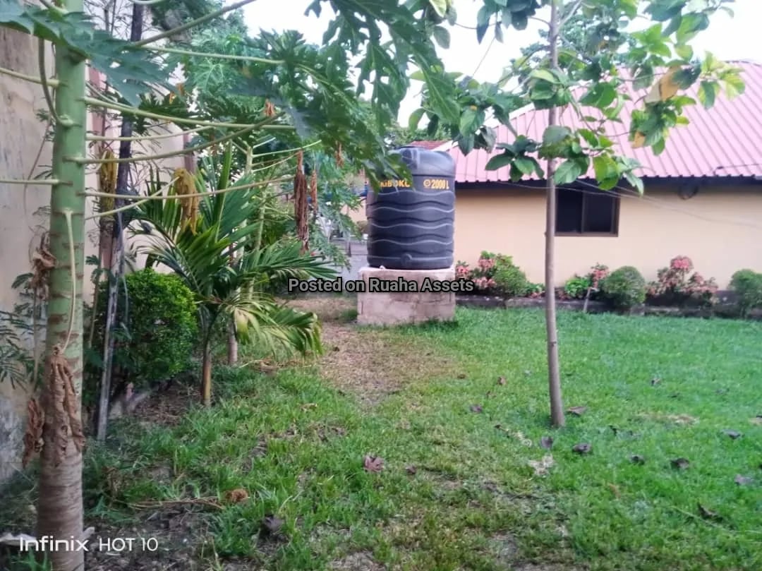 Property looking for Investor at Oysterbay  image 6