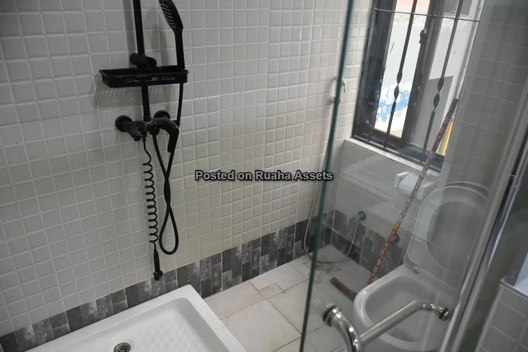 Furnished Apartment for Rent at  Mikocheni B  image 7