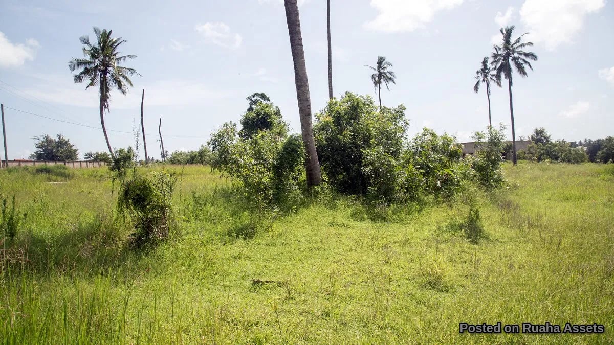 Prime Plot near HKMU, ideal for Apartments, Hotel, B&B image 3