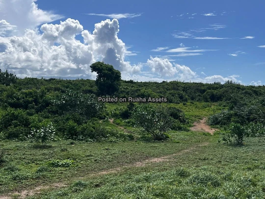 Beachfront Investment Opportunity - Mbutu Beach, Kigamboni, Dar es Salaam image 6