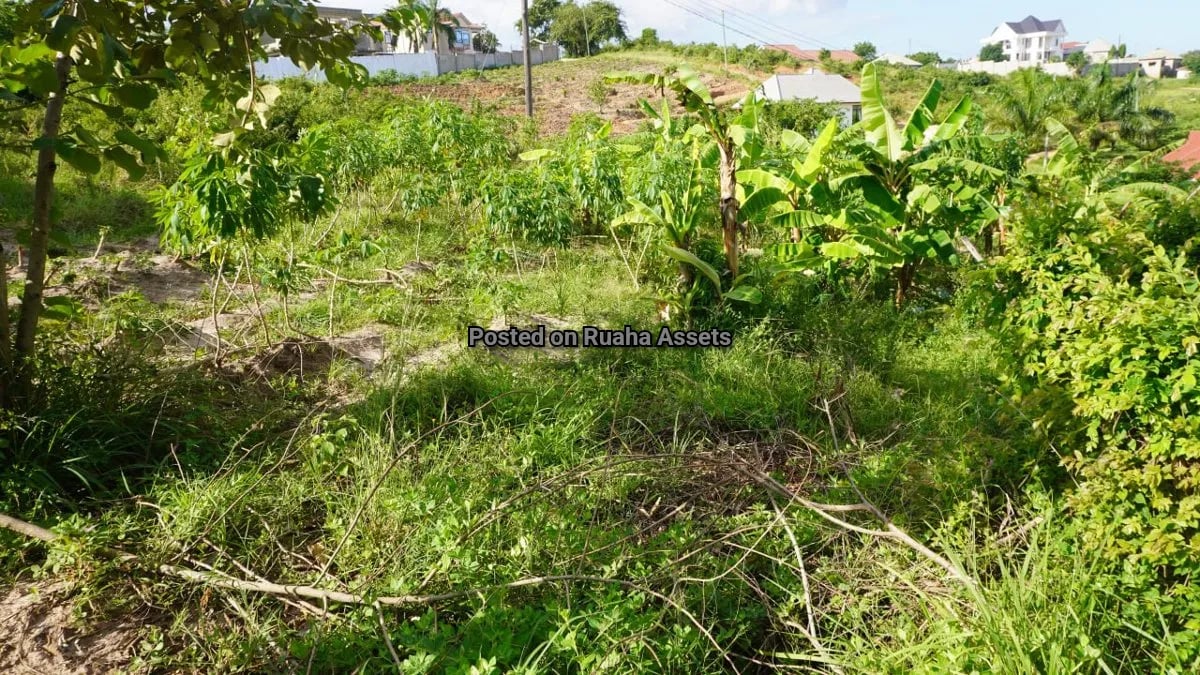 Unfinished flat for sale at Mkuwa  image 7