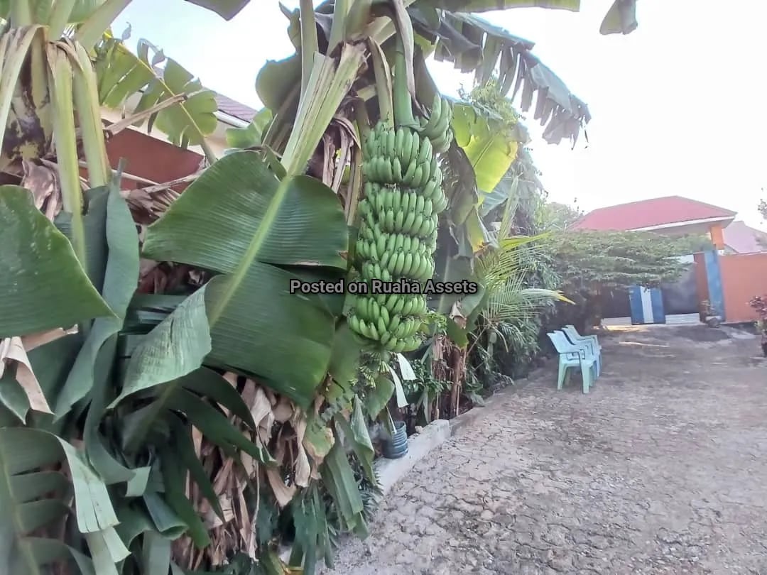 Nyumba Vyumba Vinne inauzwa Tegeta image 4