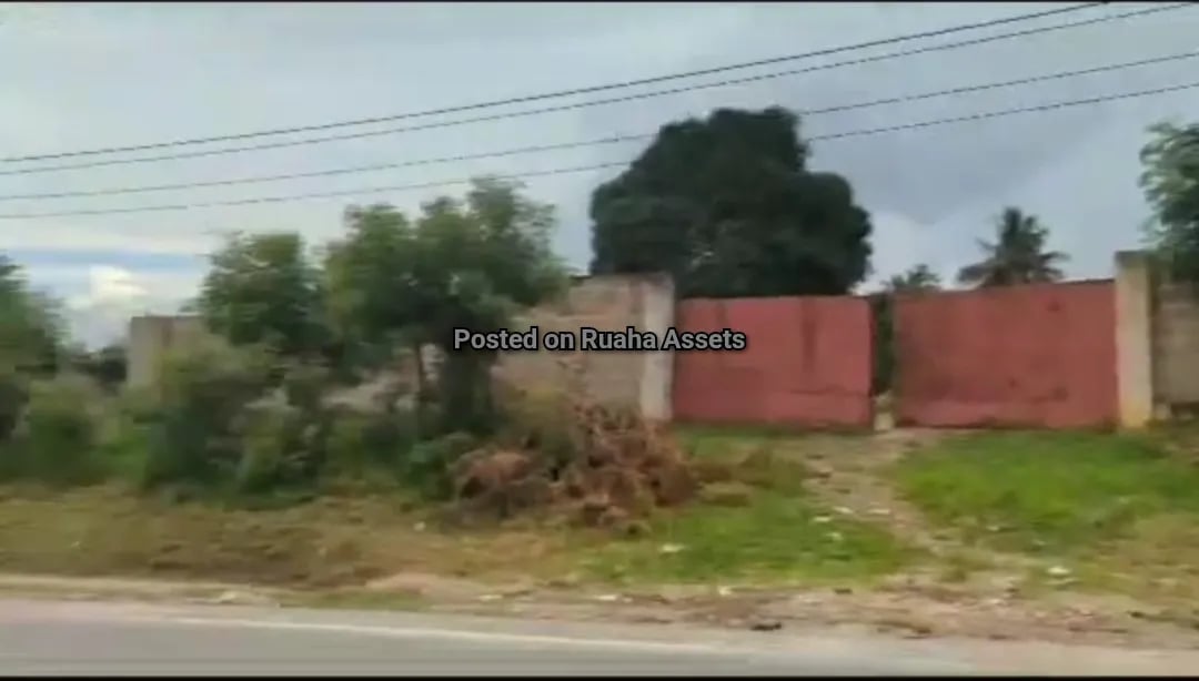 Commercial Plot for Sale Tabata Segerea image 7