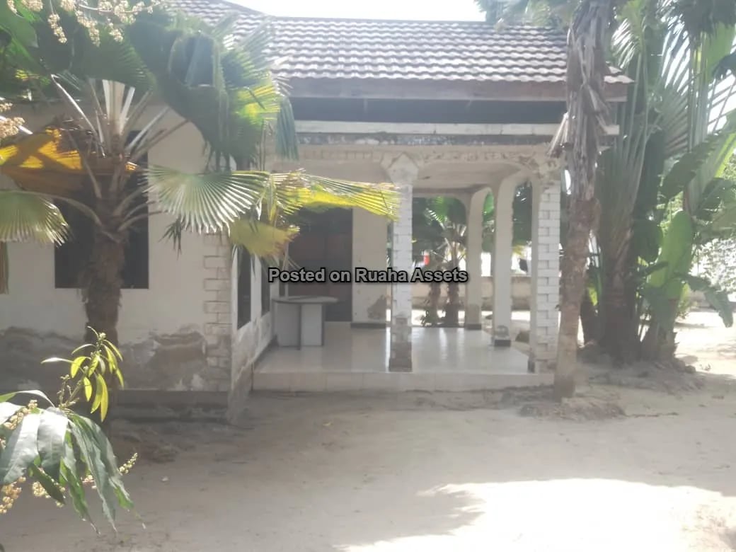 NYUMBA KUBWA INAUZWA image 11