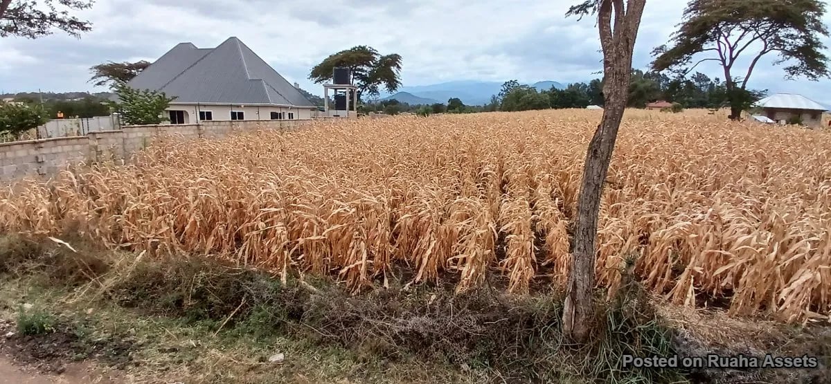 Plot at Njiro - Arusha for Sale image 2