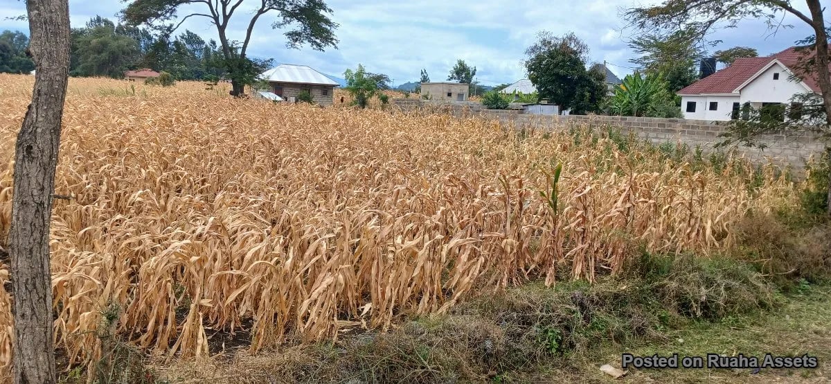 Plot at Njiro - Arusha for Sale image 4