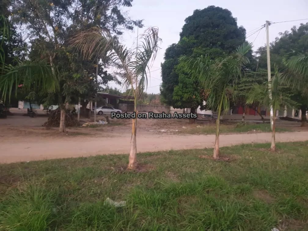 Plot along highway for sale at Mapinga  image 2