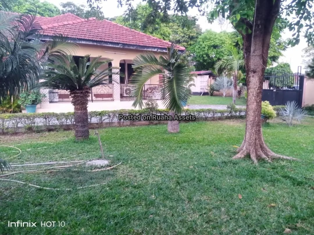 Property looking for Investor at Oysterbay  image 3