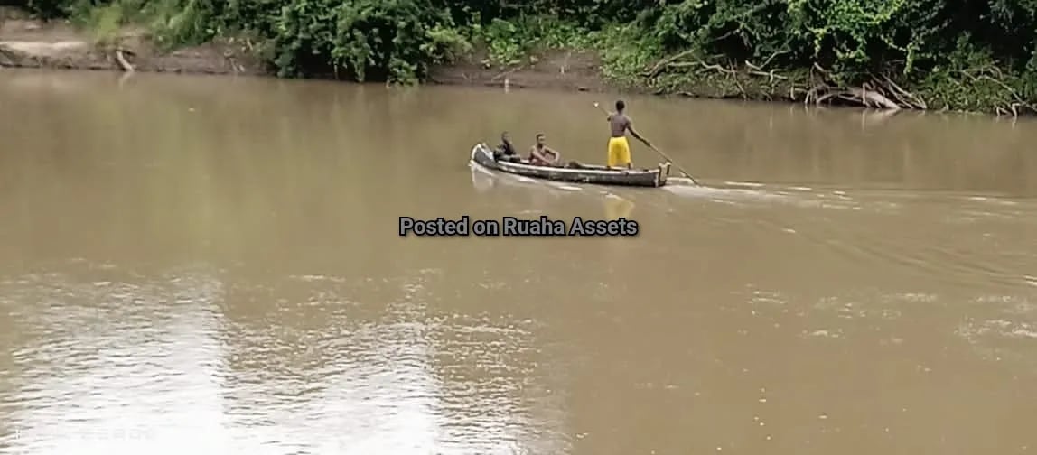 Flat farm along Wami river for Sale image 6