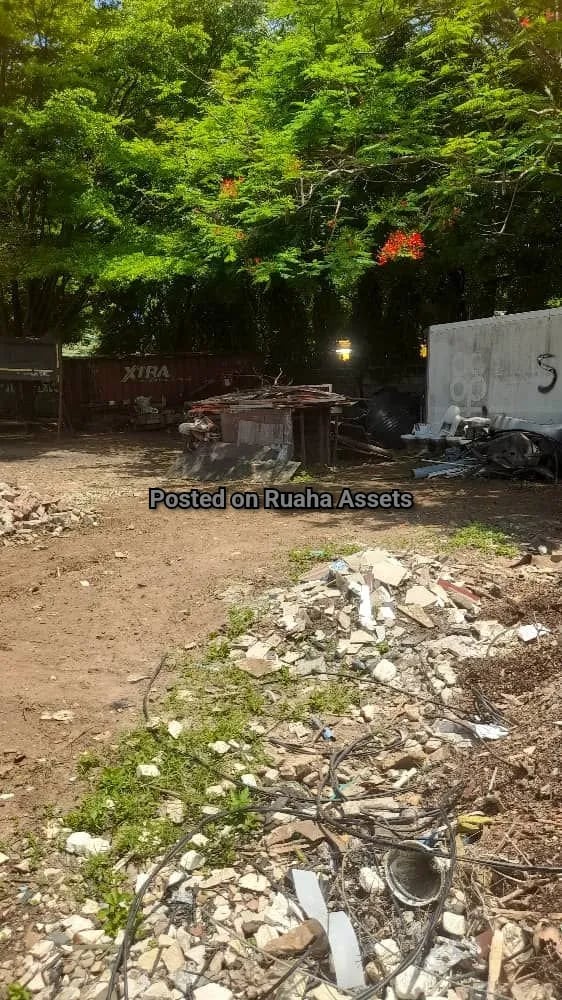 Big Plot 1 acre for Sale Oysterbay  image 2