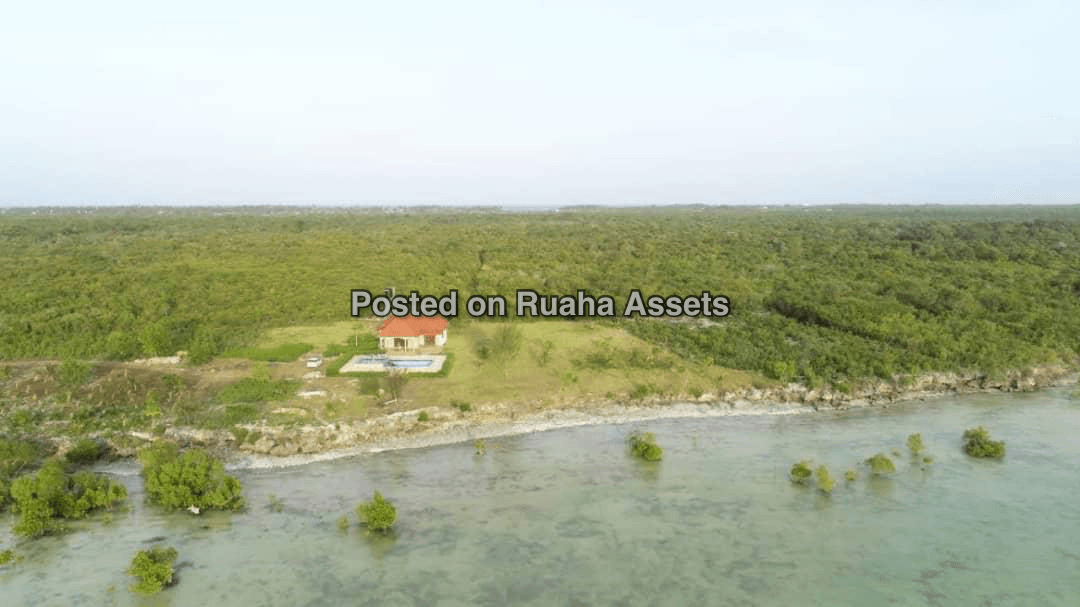 First line Beach plot for sale at Zanzibar Michamvi  image 3