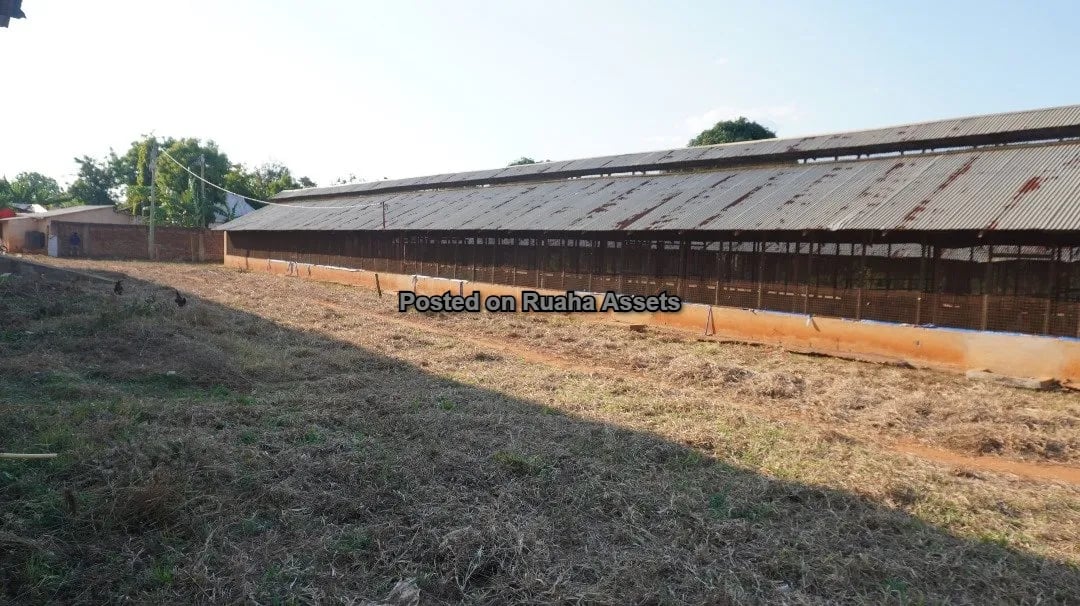 Shamba Kubwa Lenye Majengo ya Ufugaji Linauzwa image 8