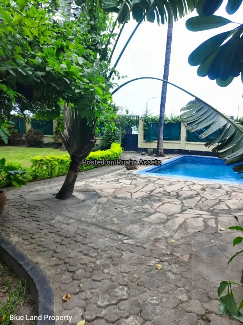 Beach house for rent at Msasani image 12