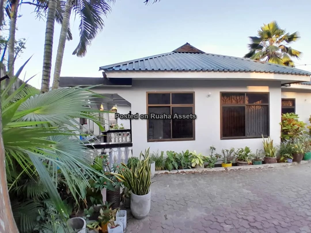 A Stunning House for Sale image 12