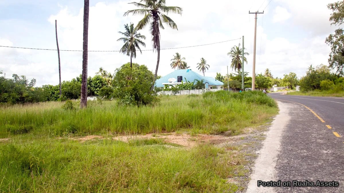 Prime Plot near HKMU, ideal for Apartments, Hotel, B&B image 5