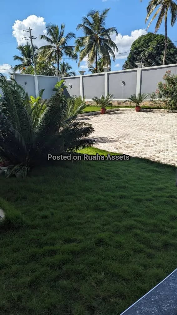 Mansion for Sale at Goba image 7