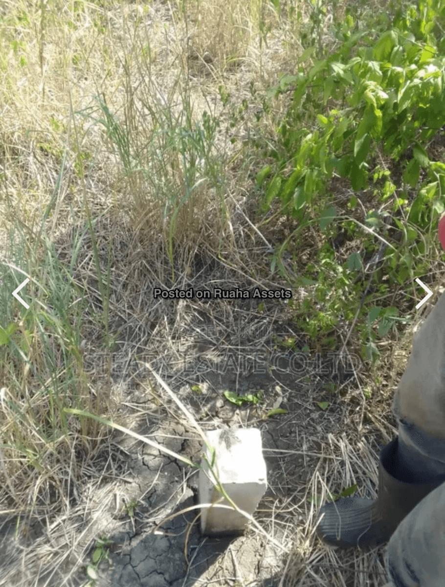 19 Acre farm for sale at Chalinze  image 2