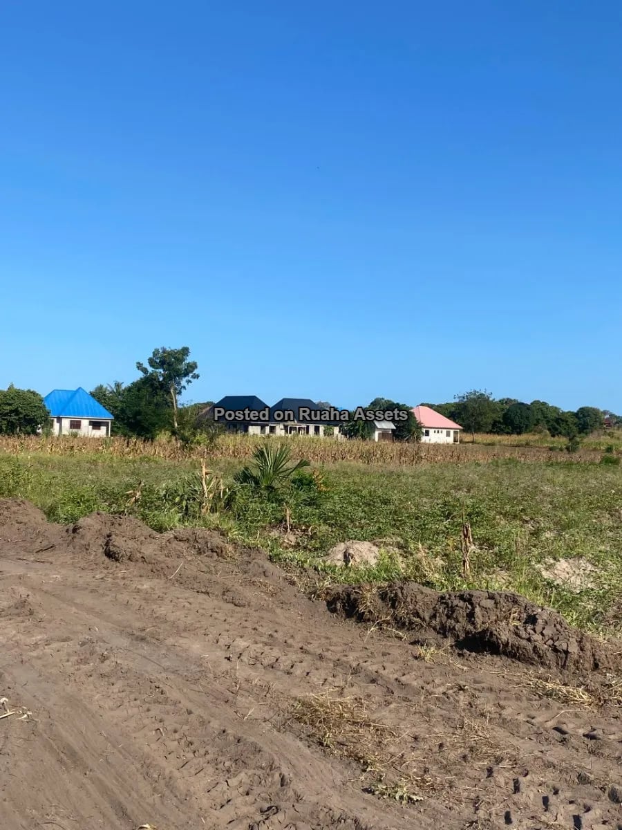 Surveyed Plot at Kigamboni Mbutu Kichangani image 4