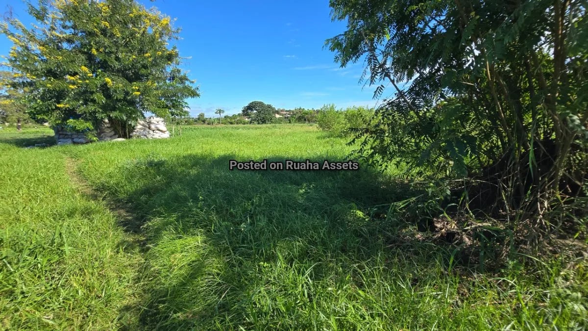 Plot for Sale at Chamazi  image 2