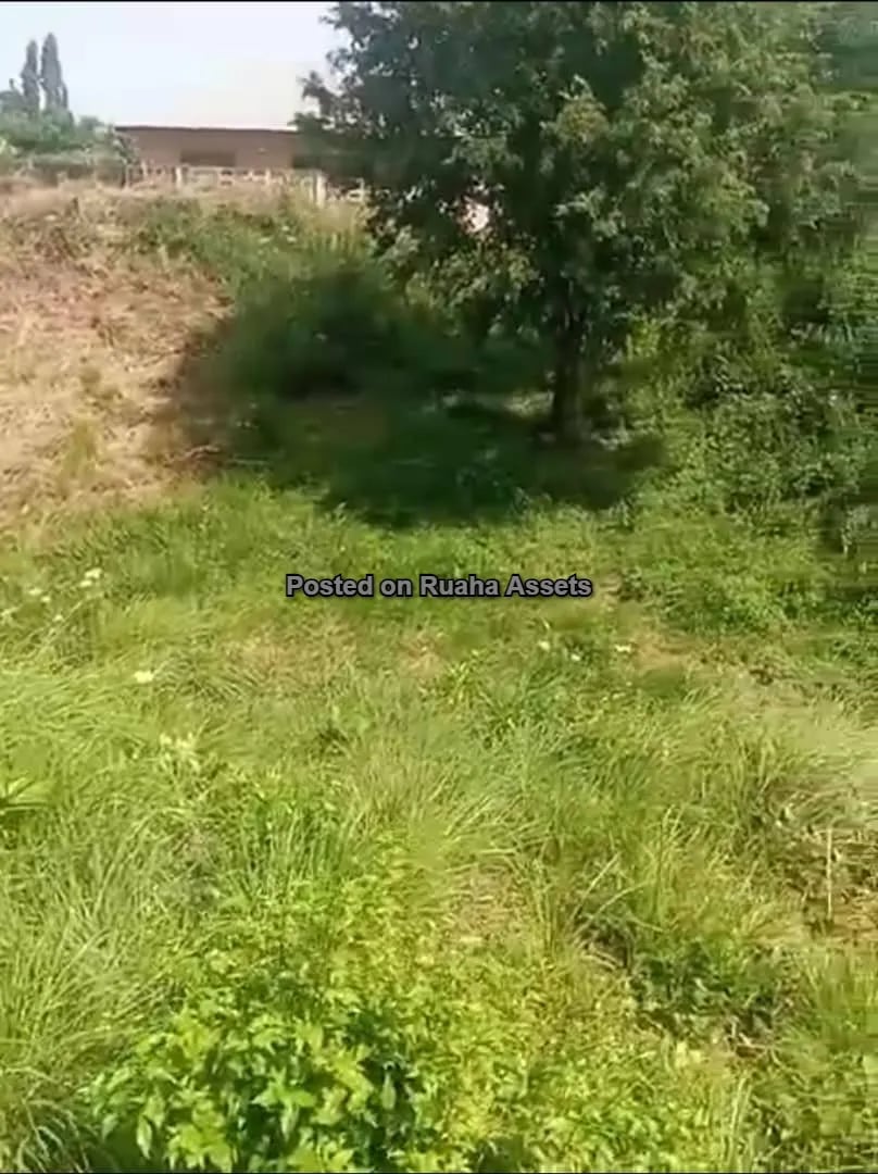 A plot for Sale at Kimara Korogwe image 4