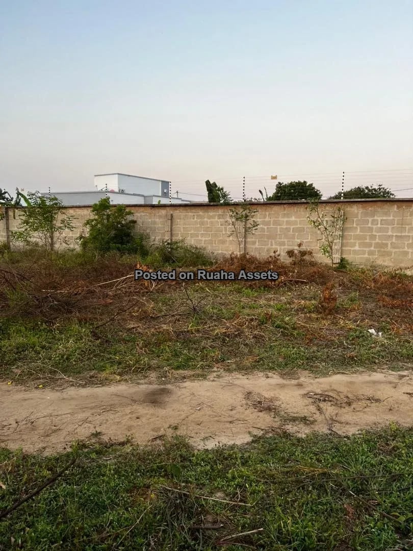 Ocean View Plot for Sale image 6