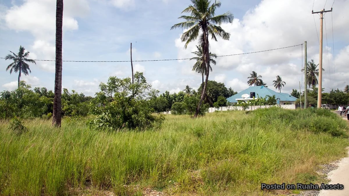 Prime Plot near HKMU, ideal for Apartments, Hotel, B&B image 4