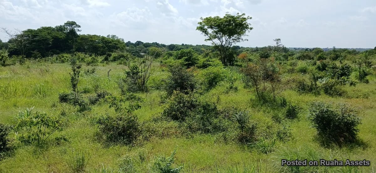 Heka 10 zinauzwa Boko Timiza, Kibaha image 2