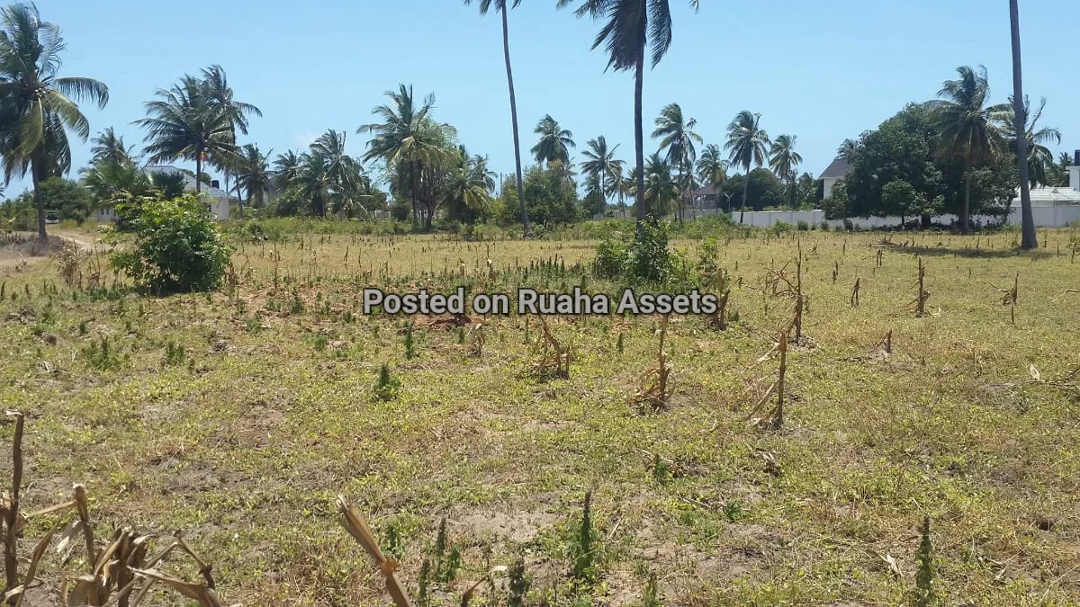 Plot near beach mbutu Beach  image 1