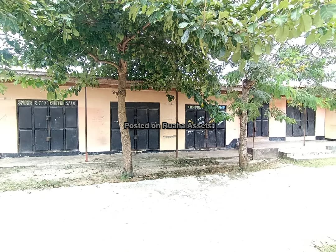 A Mesmerizing House for Sale image 6