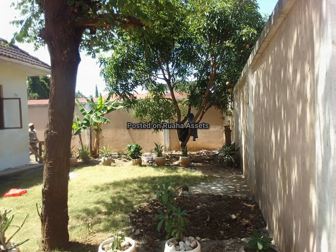 Nyumba Vyumba Vitatu inauzwa Mbezi Beach image 7