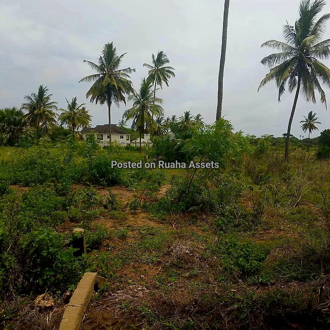 Plot near beach mbutu Beach  image 2