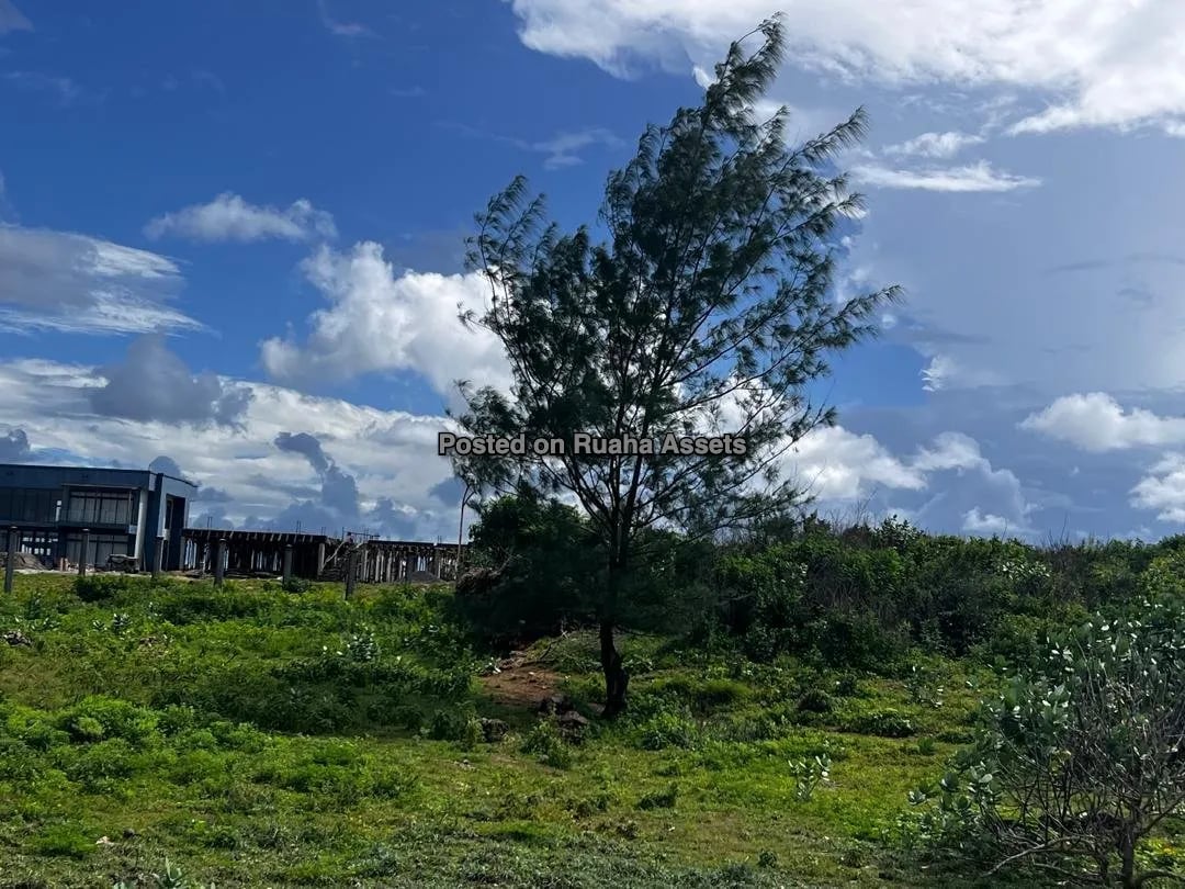 Beachfront Investment Opportunity - Mbutu Beach, Kigamboni, Dar es Salaam image 7