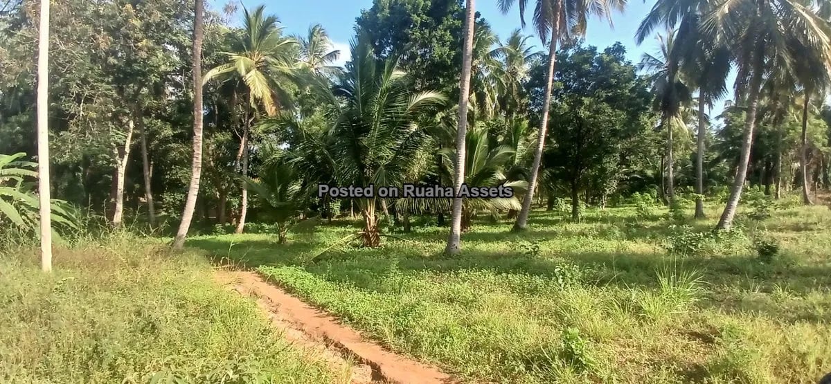 7 Acres of Mixed plots for Sale at Mvuti, Dar es Salaam image 6